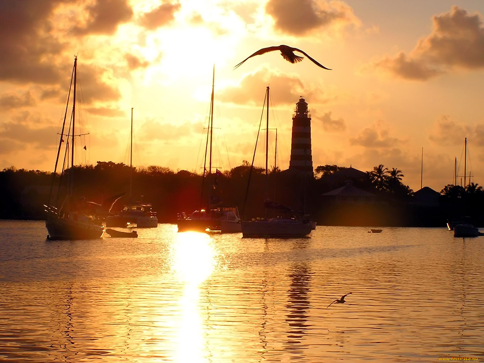 sunset, at, hope, town, , 